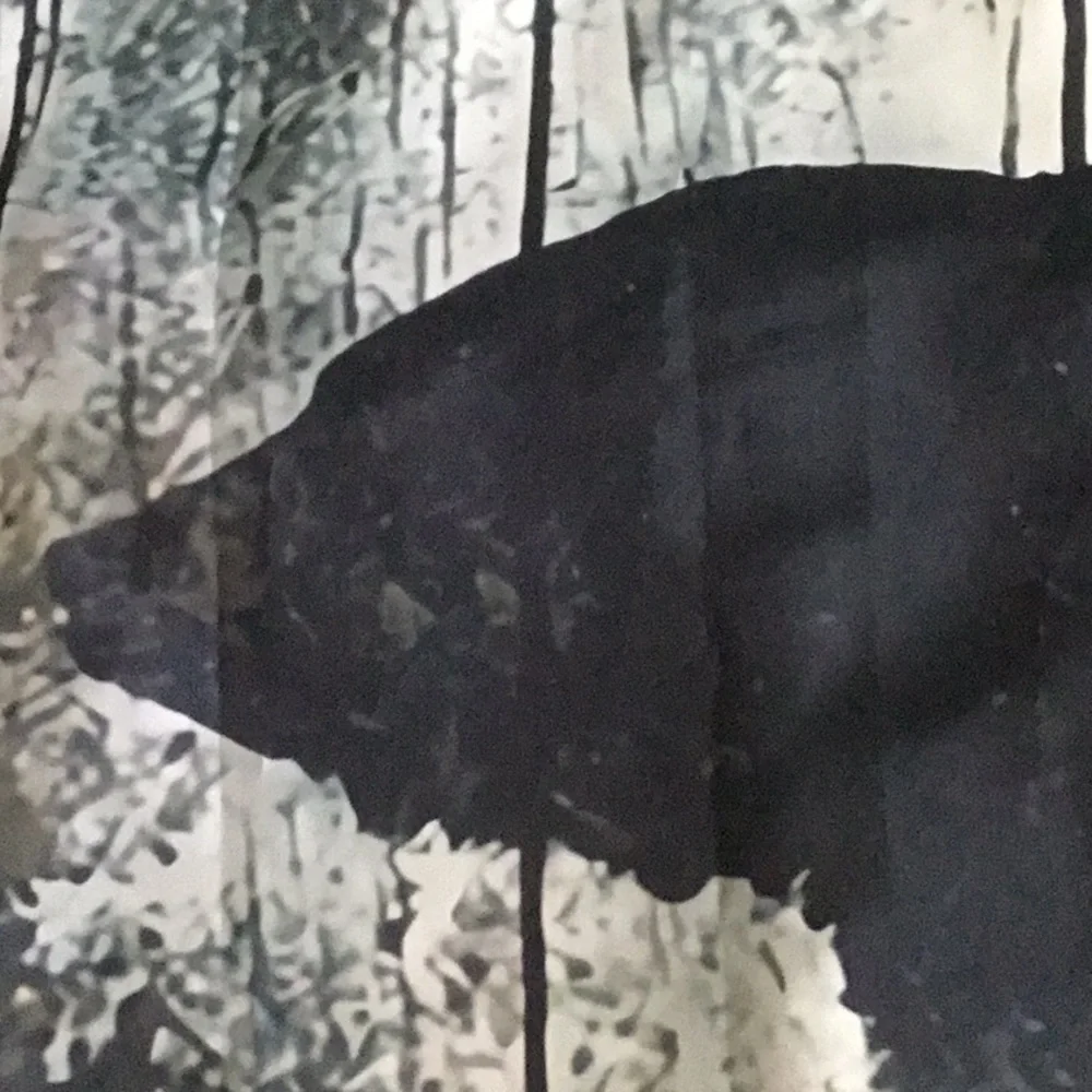 Bear shower curtain